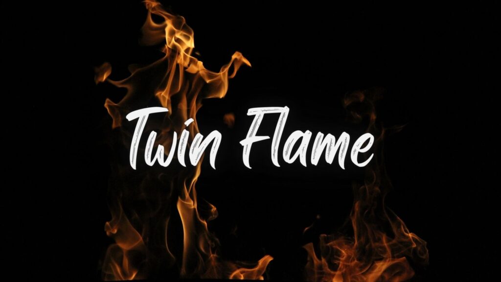 313 angel number twin flame Meaning