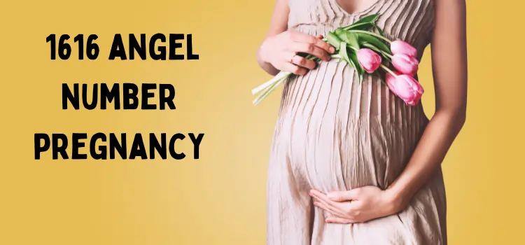 1616 angel number pregnancy