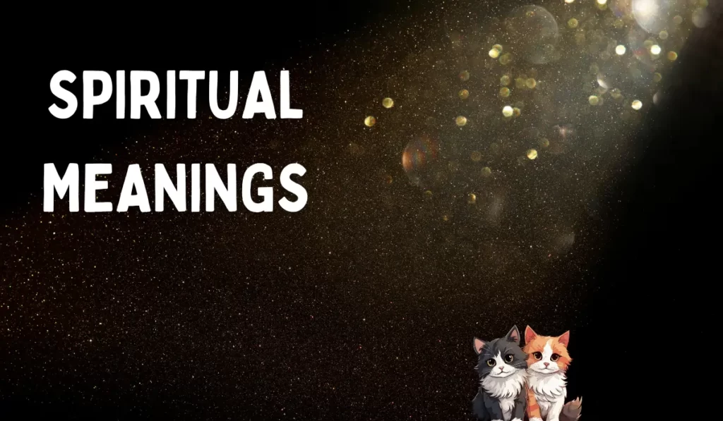 4646 Spiritual Meanings