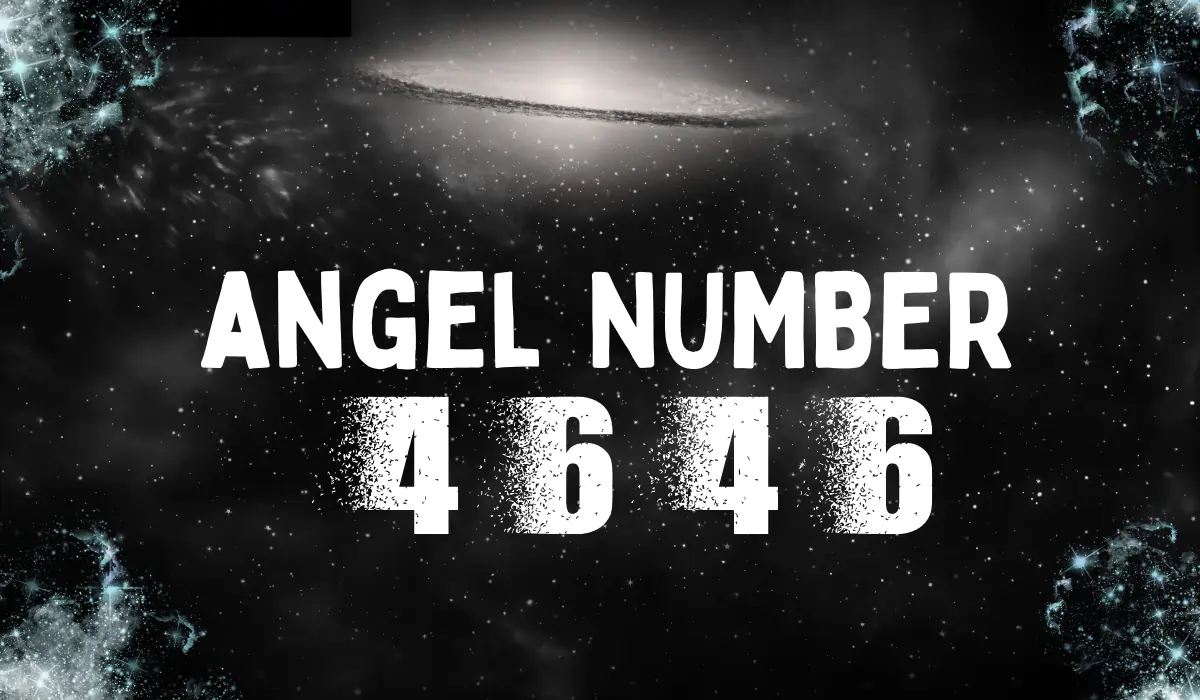 4646 angel number