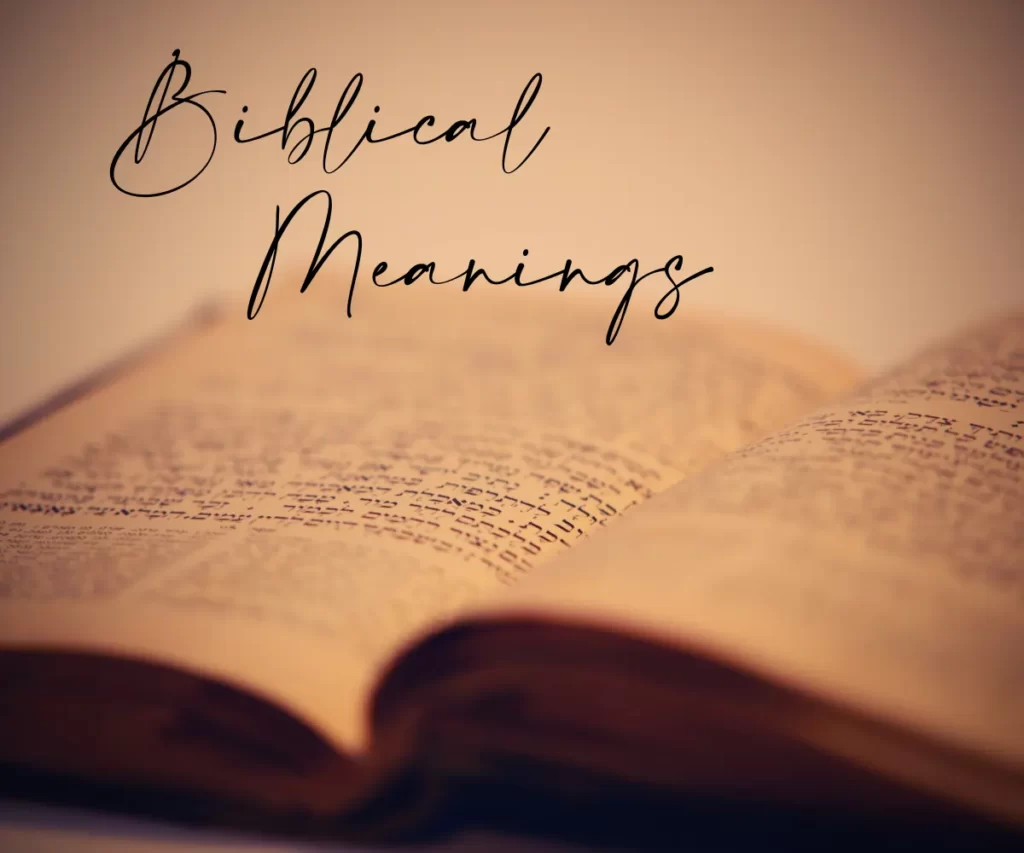 Biblical Meanings